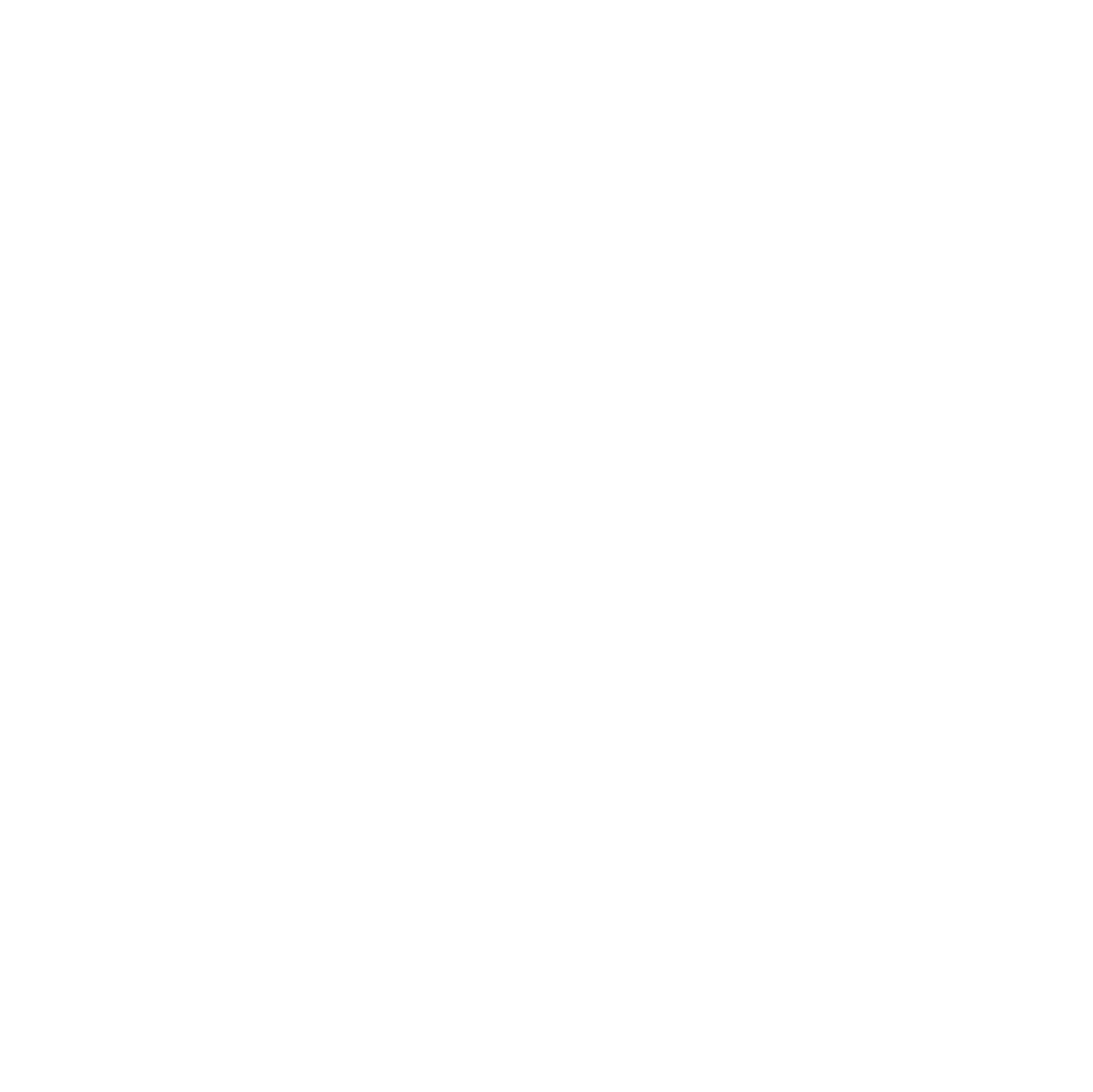 designims.com